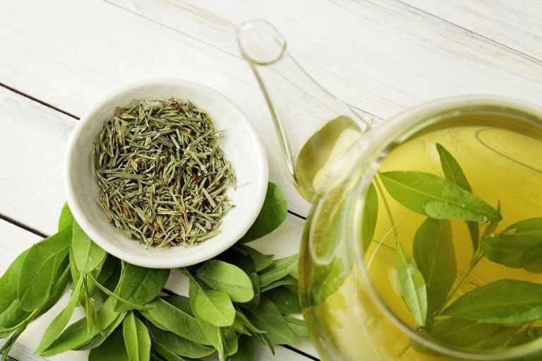 Lá trà xanh chứa nhiều hoạt chất có lợi cho sức khỏe