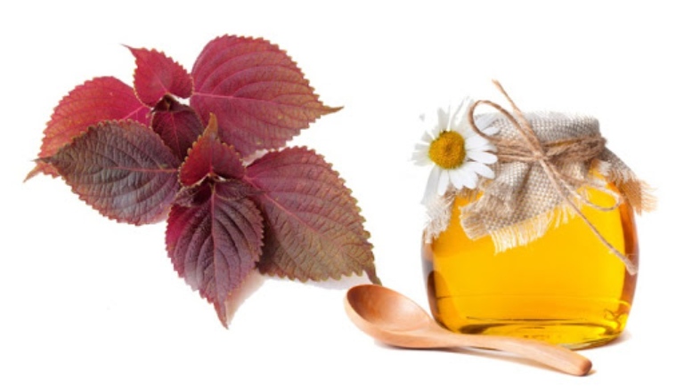 Nâng cao hiệu quả trị mụn bằng cách dùng kết hợp mật ong với lá tía tô