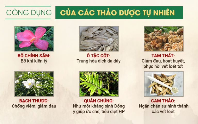 Một số loại thảo dược chính trong Sơ can Bình vị tán 