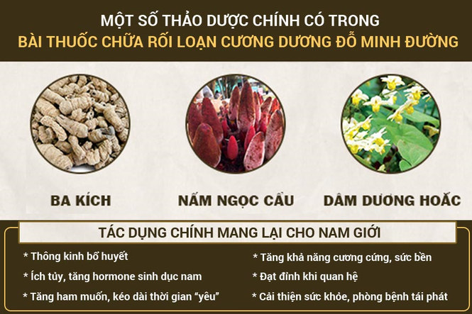 Bài thuốc chữa rối loạn cương dương gồm các dược liệu quý