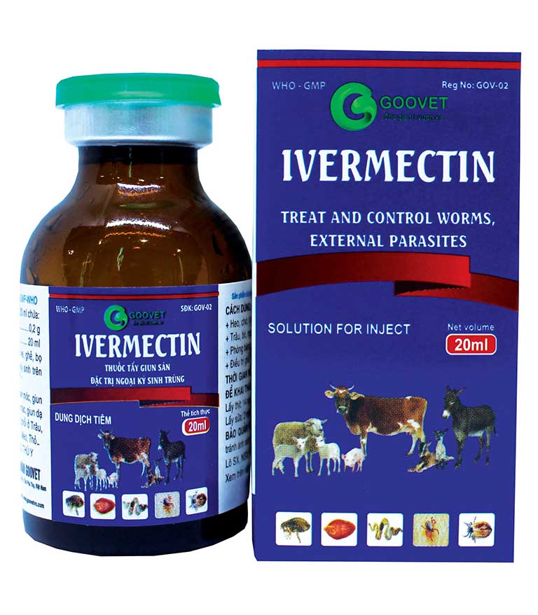 Thuốc uống trị ghẻ Ivermectin