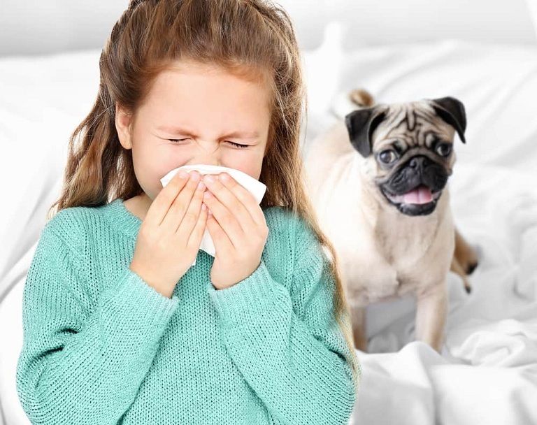 Trẻ bị dị ứng lông động vật cũng là tác nhân dẫn tới các triệu chứng khó chịu ở mũi họng