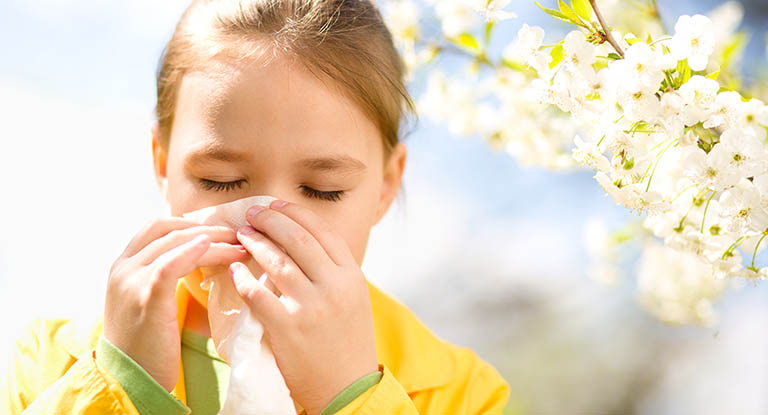 Viêm họng kéo dài có thể do dị ứng phấn hoa